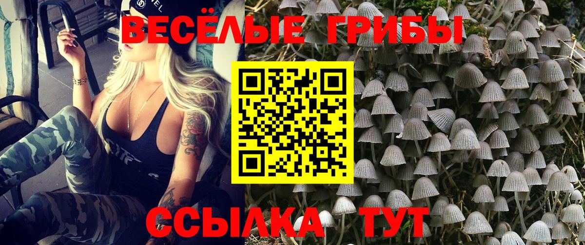 Ревда  Псилоцибиновые грибы Magic Shrooms  Вход с VPN  Псилоцибиновые грибы ЛСД 